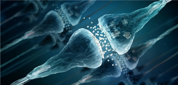 Was genau passiert bei M. Alzheimer an Neuronen und Synapsen? Forscher haben jetzt den NMDA-Rezeptor unter die Lupe genommen.