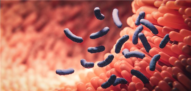 Was im Darm los ist, darüber können kommerzielle Mikrobiom-Tests wenig bis gar nichts aussagen.
