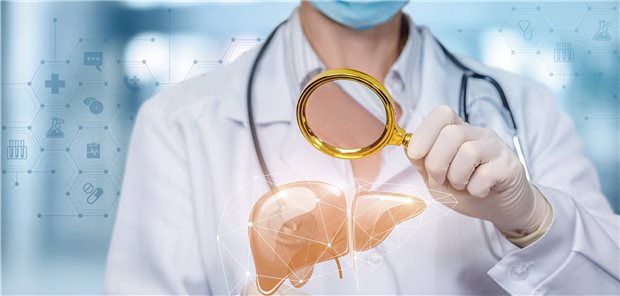 Was passiert auf zellulärer und molekularer Ebene, wenn in der Leber Krebs entsteht? Forscher sind diesen Prozessen auf der Spur.