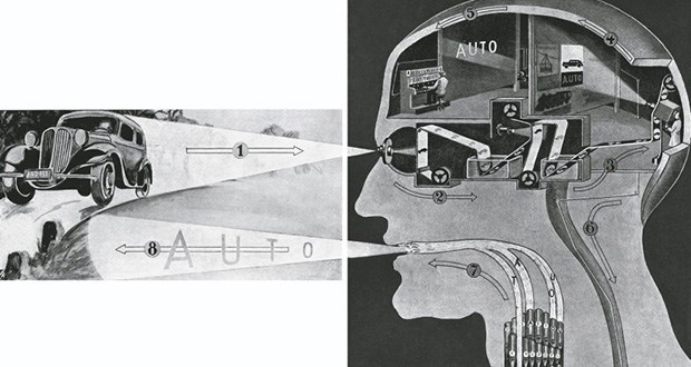 Fritz Kahn: Arzt und Pionier der Infografik Was sich im Kopf abspielt, wenn wir ein Auto sehen und "Auto" sagen.