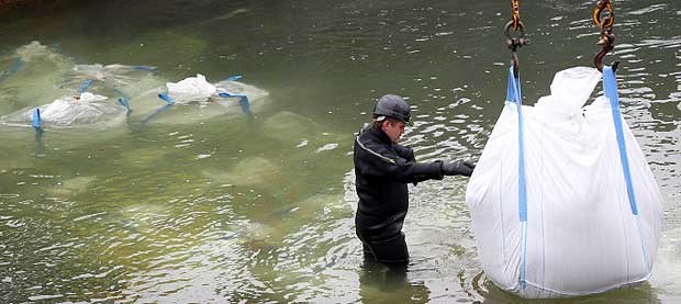 Bombe in Koblenz: Zwei Kliniken und sieben Heime evakuiert Wasserbauer arbeiten im Rhein bei Koblenz an dem Damm, der dort eine Luftmine trockenlegen soll.