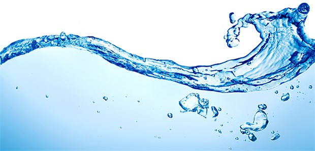 Resistente Keime in Gewässern Wasserprobe: In Niedersächsischen Gewässern fanden Forscher des Robert-Koch-Instituts in 100 Prozent aller Proben multiresistente Keime.