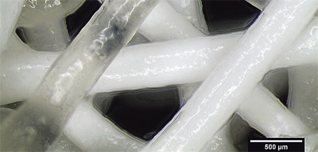 Lebendes Gewebe aus dem Drucker Wasserreiches Hydrogel wird neben Kalziumphosphat-Strängen gedruckt, um einwandernde Zellen mit Wachstumsfaktoren und Proteinen zu versorgen.