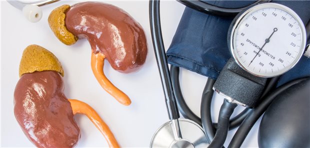 Die Fachärzte überprüfen die Geräte für die kontinuierliche Nierenersatztherapie, die Injektionspumpe und die Hämodialysemaschine.