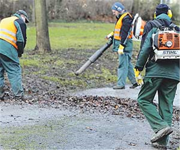 Wenn Laubbläser und Müllabfuhr den Schlaf rauben Weg mit dem Laub von der Straße - das geht nicht ohne Krach.