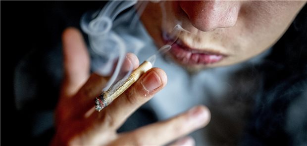 Cannabis-Prävention an Schulen in Bayern Weg – oder besser erst gar nicht hin zum Joint: Lehrkräfte sollen durch Online-Kurse fit gemacht werden, Kinder und Jugendlich zu Risiken des Cannabis-Konsums aufzuklären.