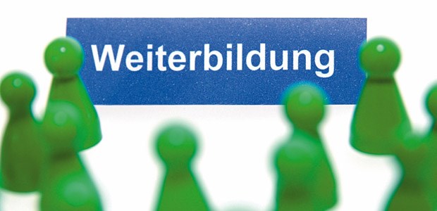 Die Förderung wird zum Politikum Weiterbildung: Wo sind die Köpfe für das "Rundum-sorglos-Paket"?