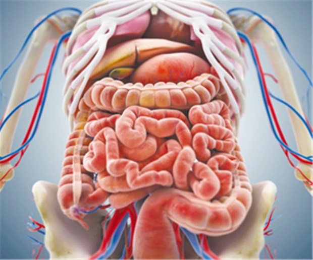 Neoplasie-Frühformen auf der Spur Welche Vorteile haben moderne Endoskopietechnologien tatsächlich?