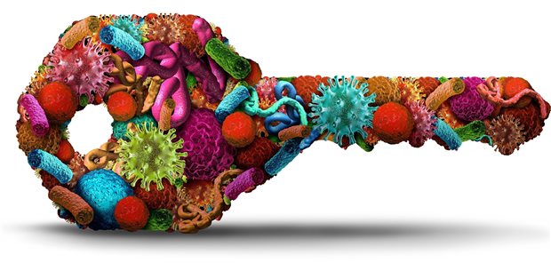 Welche pharmazeutische Wirkstoffkandidaten für die Behandlung von Patienten mit Nierenkrebs passen?