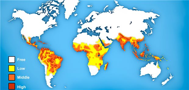 Weltkarte der Dengue-Hotspots (gelb=leichtes, orange-mittelhohes und rot hohes Risiko): Infektionsrisiken gibt es vor allem in Südasien, Afrika und Lateinamerika.
