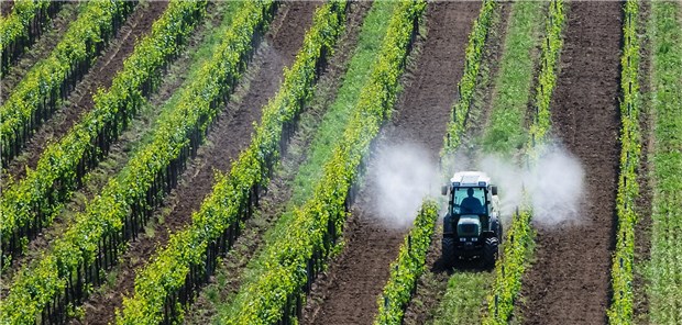 Regierung erwartet Aus für Glyphosat Weniger ist mehr: Die Bundesregierung will den Herbizideinsatz in Schutzgebieten drosseln.