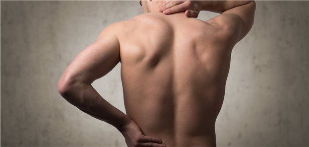 Wenn‘s im Rücken zwickt und zwackt: Die App „Vivira“ verspricht gezielte Übungen gegen die Schmerzen.