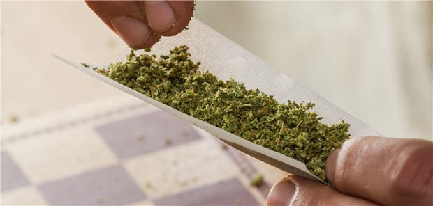 Wer Cannabis konsumiert, hat wohl nach einer Operation mehr Schmerzen.