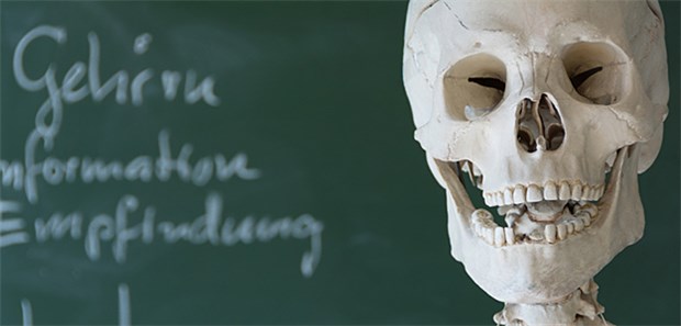 Scharfe Kritik an Reform-Plan der Minister Wer Medizin studieren möchte, der kann als Bewerber künftig über vier verschiedene Auswahlkriterien Zugang zu einem Studienplatz erlangen.