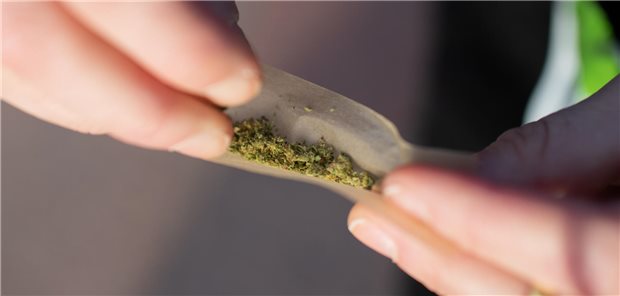 Länder drohen, Lauterbachs Cannabis-Legalisierung im Bundesrat zu stoppen Eine junge Frau dreht sich mit Cannabis einen Joint.