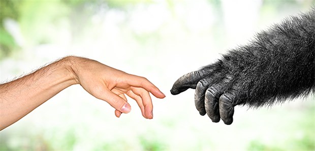 Wenn Gendesigner die Evolution nachbauen Wer gibt hier wem einen "göttlichen" Funken? Anspielung auf Michelangelos berühmtes Fresko "Die Erschaffung Adams" in der Sixtinischen Kapelle.