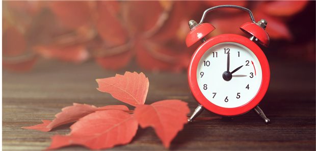 Gereizt: Zeitumstellung sorgt für gesundheitliche Probleme Wer hat an der Uhr gedreht? Noch die Länder: Die EU will zwar die Zeitumstellung abschaffen, konkrete Maßnahmen lassen aber auf sich warten.