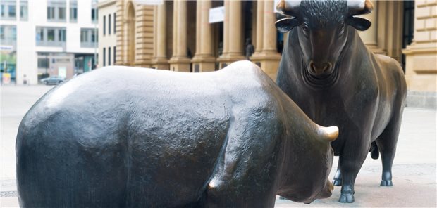 Wer setzt sich 2026 an der Börse durch – Bulle oder Bär?