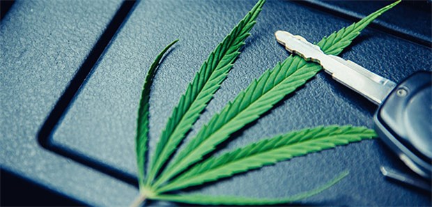 Kein Entzug des Führerscheins ohne MPU Wer unter THC-Einfluss Auto fährt, ist deswegen noch lange nicht prinzipiell ungeeignet, ein Fahrzeug zu führen, haben Richter geurteilt.