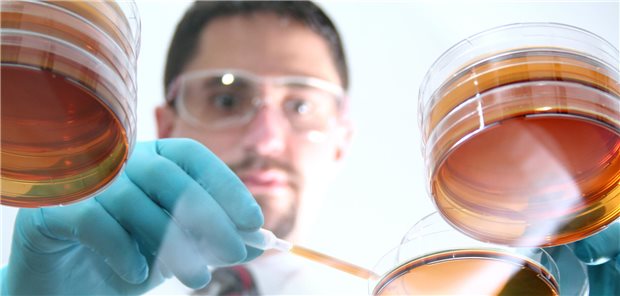 Mann for Petrischalen