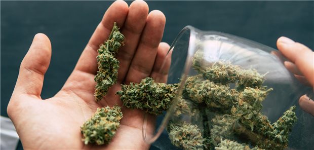 Wer will, der darf. Demnächst.