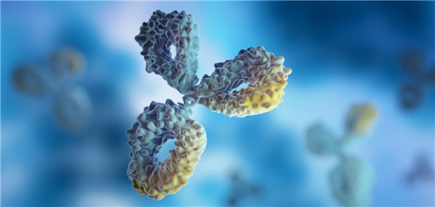 Es liegt ein Konsensuspapier vor, verabschiedet gemeinsam von Experten der ADA, der EASD (European Association for the Study of Diabetes) und weiterer Fachorganisationen das  Expertenempfehlungen für die klinische Überwachung von Personen gibt, die positiv auf mindestens einen Inselautoantikörper getestet wurden.