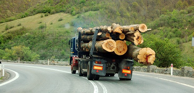 Ökologisch wertvoll und rentabel Wertvolle Fracht: Holz gilt als Renditeobjekt, vor allem, wenn es schnell nachwächst. Auf der Suche nach attraktiven Anlagemöglichkeiten werden Waldfonds bei den Anlegern daher immer beliebter.