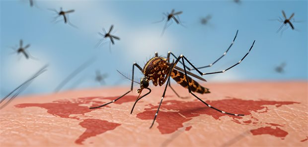 West-Nil-Virus-übertragende Stechmücken dringen auch in neue Regionen vor: In 21 Regionen in ganz Europa trat 2026 das West-Nil-Virus zum ersten Mal auf.