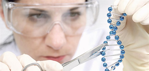 Erstmals Krebspatient mit Genschere behandelt Wettlauf um die praktische Umsetzung von CRISPR. Ist die Genschere eine Revolution bei der Behandlung?