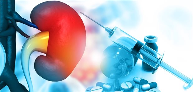 Wie gut funktioniert die Niere? Auch das ist bei der Medikation zu berücksichtigen.