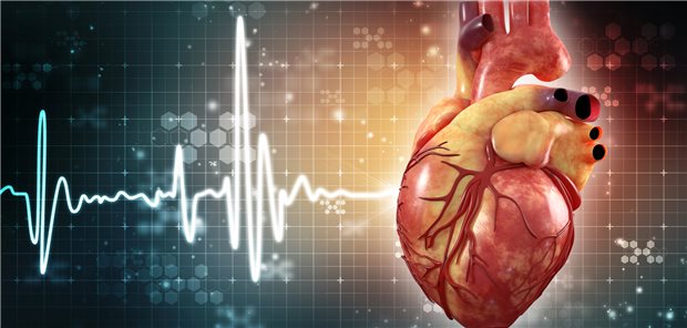 Wie gut klappt die Pumparbeit des Herzens? Welche Form der Herzinsuffizienz liegt gegebenenfalls vor?