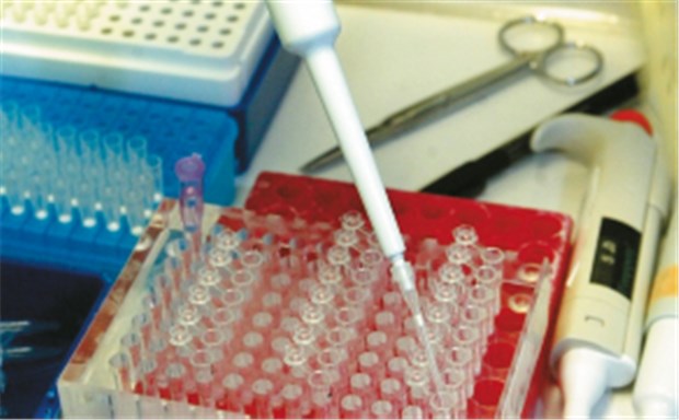 Feldteams von Infektiologen gehen lokalen Ausbrüchen von Schweinegrippe nach Wie lange ist das Virus nachweisbar? Dafür ist das Labor unverzichtbar.