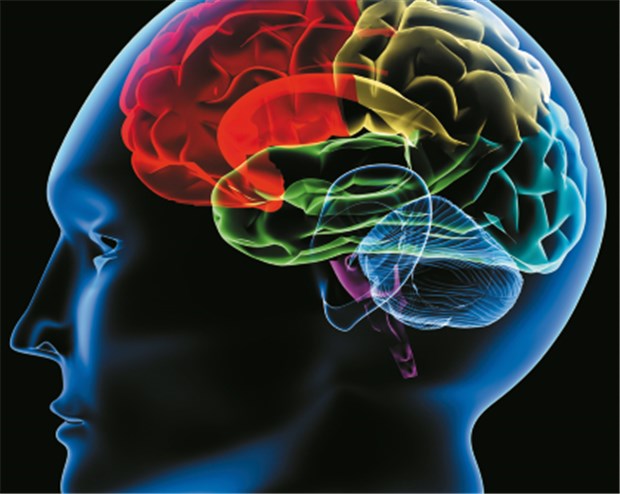 Fibromyalgie-Patienten haben eine veränderte Schmerzverarbeitung Wie sieht die Schmerzverarbeitung aus? © S Kaulitzki / fotolia.com