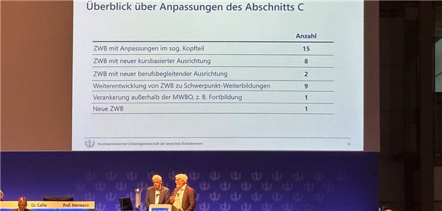 Dr. Johannes Albert Gehle und Prof. Henrik Herrmann