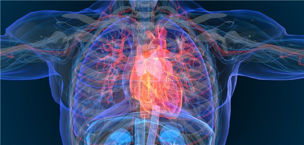 Wie steht es um die Mortalität und den Nutzen von Therapien bei Personen mit einer Takotsubo-Kardiomyopathie? Das hat ein schottisches Wissenschaftsteam in einer Fall-Kontroll-Studie untersucht. (Symbolbild)