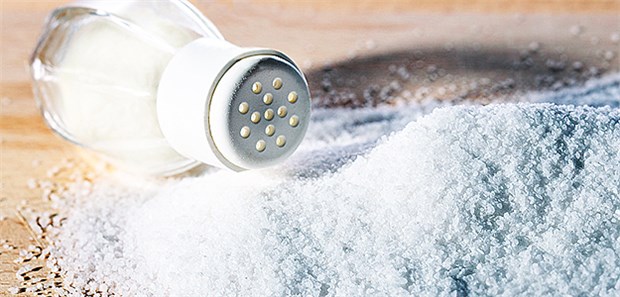 Wie viel Salz und vor allem welches soll es sein?