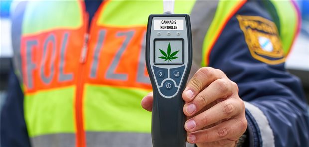 Wird es künftig wohl noch öfter geben: Fahrzeugkontrollen auf Cannabiskonsums des Fahrers. (Fotomontage)