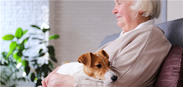 Vor Gelenk-Operation nach Haustieren fragen! Wird mit Patienten die Rehaphase nach einer Knie- oder Hüft-Op. geplant, sollte unbedingt auch nach Haustieren gefragt werden. Sind diese nicht gut versorgt, könnten sich die Patienten zu unvernünftigen Entscheidungen hinreißen lassen.