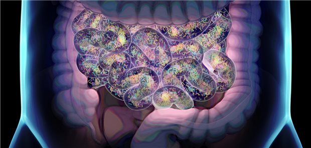 Wirkort Dünndarm: Twin- und Trinkretine können dort bis zu drei Hormonrezeptoren aktivieren.