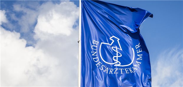 „Wirksame Maßnahmen zur Eindämmung der Klimakrise dulden keinen Aufschub mehr“, heißt es in einem Beschluss auf dem Ärztetag.