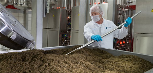 Cannabinoide als Wachstumstreiber Wirkstoffextraktion aus pflanzlichem Rohmaterial.