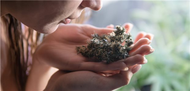 Hanf-Hersteller gründen eigenen Verband Wirkung oder Hype? Der neu gegründete Bundesverband pharmazeutischer Cannabinoidunternehmen (BPC) will nach Möglichkeit auch die Studienlage zur THC-Therapie voranbringen.