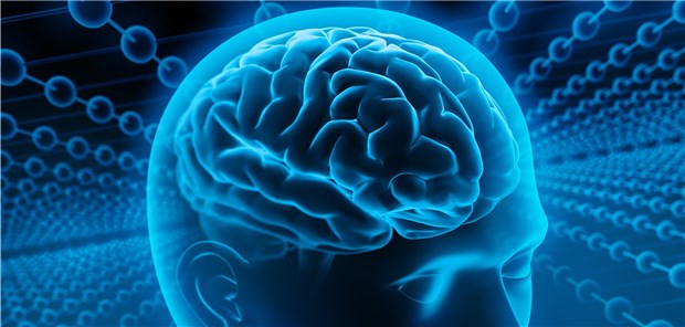 Wissenschaftler rätseln: Stehen die erhöhten Tau-Werte nach einer durchwachten Nacht mit der erhöhten neuronalen Aktivität während einer solchen Nacht in Verbindung?