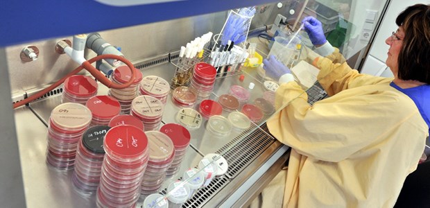 Uniklinik Leipzig: Probleme mit gefährlichen Keimen Wo sind die Klebsiellen? Bakterienkulturen am Uniklinikum Leipzig.