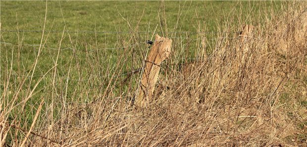 Wo verläuft die Grenze? Die Grenze vom Gesunden bis zum mehr oder weniger schwer Kranken sei unscharf, sagt Schmerz- und Palliativmediziner Norbert Schürmann im Interview zur ärztlichen Suizidassistenz.

