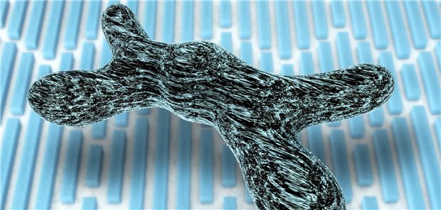 X-Chromosom. Bei XLH verursacht ein Defekt auf dem X-Chromosom einenübermäßigen Phosphatverlust in den Urin und eine verringerte Phosphataufnahme aus dem Darm.