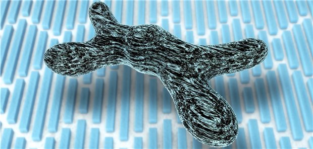 X-Chromosom. Bei XLH verursacht ein genetischer Defekt auf dem X-Chromosom einen übermäßigen Phosphatverlust in den Urin und eine verringerte Phosphataufnahme aus dem Darm.