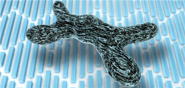 X-Chromosom. Welche Bedeutung haben hier lokalisierte Gene für den unterschiedlichen Verlauf von Herz-Kreislauf-Erkrankungen bei Männern und Frauen?
