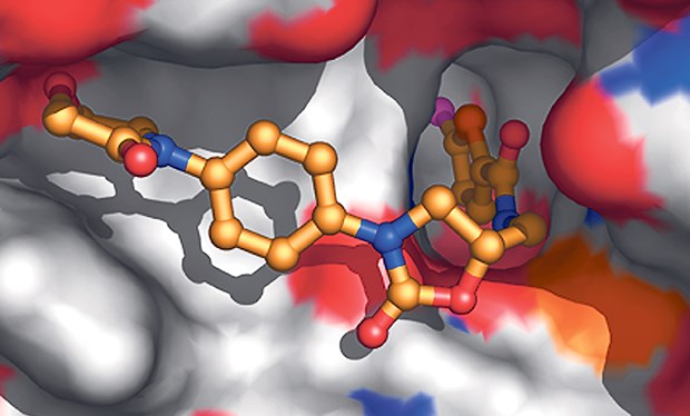 Xarelto® hemmt selektiv, direkt und Antithrombin-unabhängig Faktor Xa.