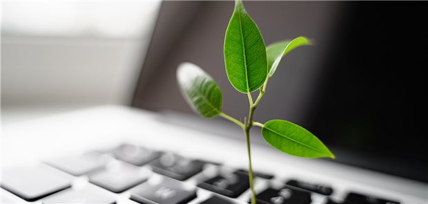 Zartes Pflänzchen Hoffnung: Praxischefs müssen darauf setzen, dass der nun erzielte Gehaltstarifvertrag für die MFA wieder mehr junge Menschen bewegt, sich in diesem Beruf ausbilden zu lassen und dann auch der Ausbilderpraxis die Stange zu halten. Auch in der Frage der Gegenfinanzierung keimt hie und da ein kleines Pflänzchen Hoffnung...
